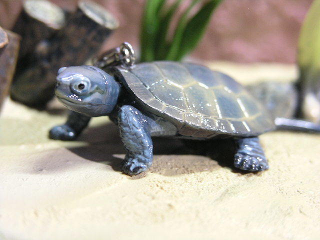 * turtle san strap for mobile phone sen turtle *zenigame Kawai i!! tortoise $$ strap * accessory netsuke 