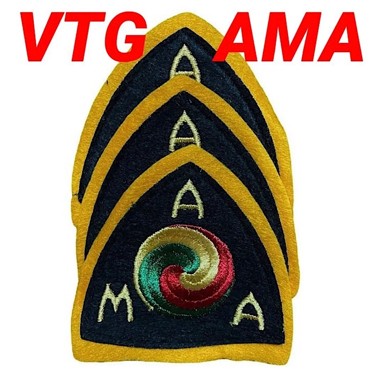 AMA ビンテージ ワッペン ハーレーダビッドソン モーター系 デッドストック バイカー フェルトパッチ AMA BIG SIZE Vintage Patch American_画像1