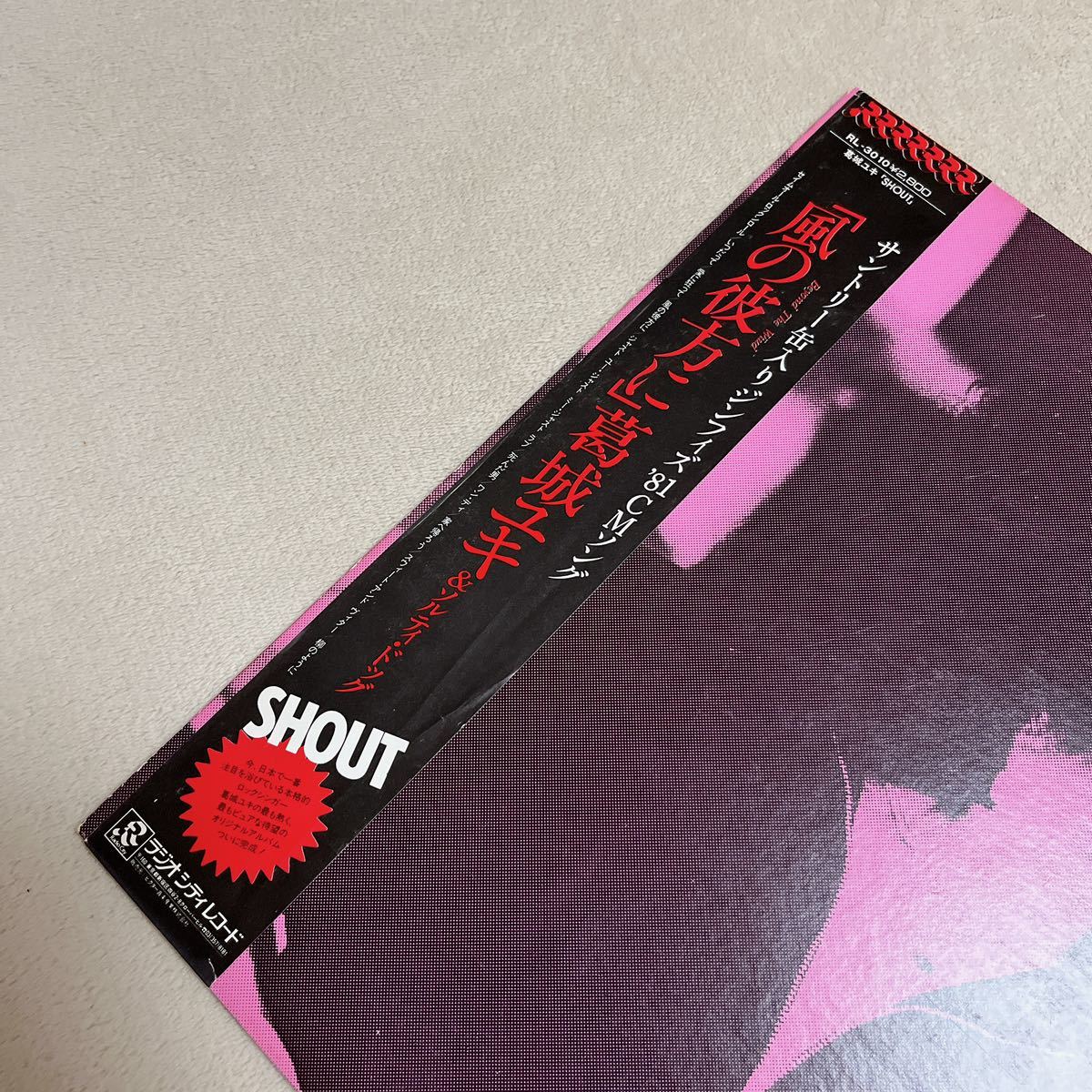 【帯付】葛城ユキ&ソルティドッグ 風の彼方に SHOUT YUKI KATSURAGI SALTY&DOG / LP レコード / RL3010 / ライナー有 / 和モノ 和ロック/_画像3