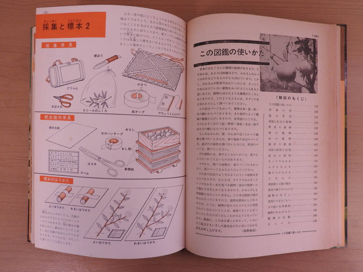 「植物の図鑑」 小学館 学習図鑑シリーズ 本田正次 昭和43年発行_画像10