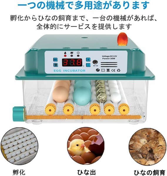  automatic . egg vessel in kyu Beta -. temperature vessel birds exclusive use . egg vessel .. vessel automatic rotation egg type a Hill chicken egg a Hill .... temperature .. vessel full automation 6-16 piece. egg 