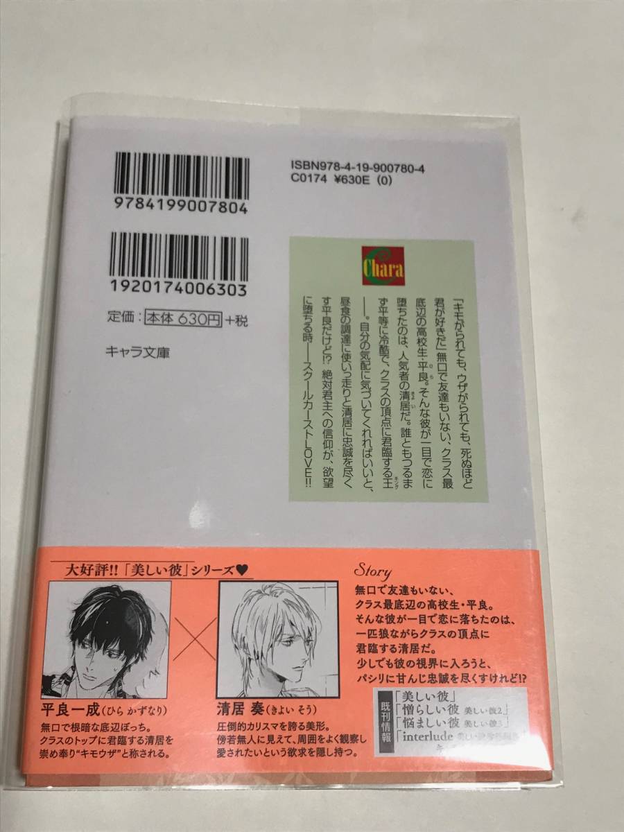 未開封有！ 凪良ゆう・葛西リカコ 『 美しい彼 』4冊　送料込み！【2312】14_画像3