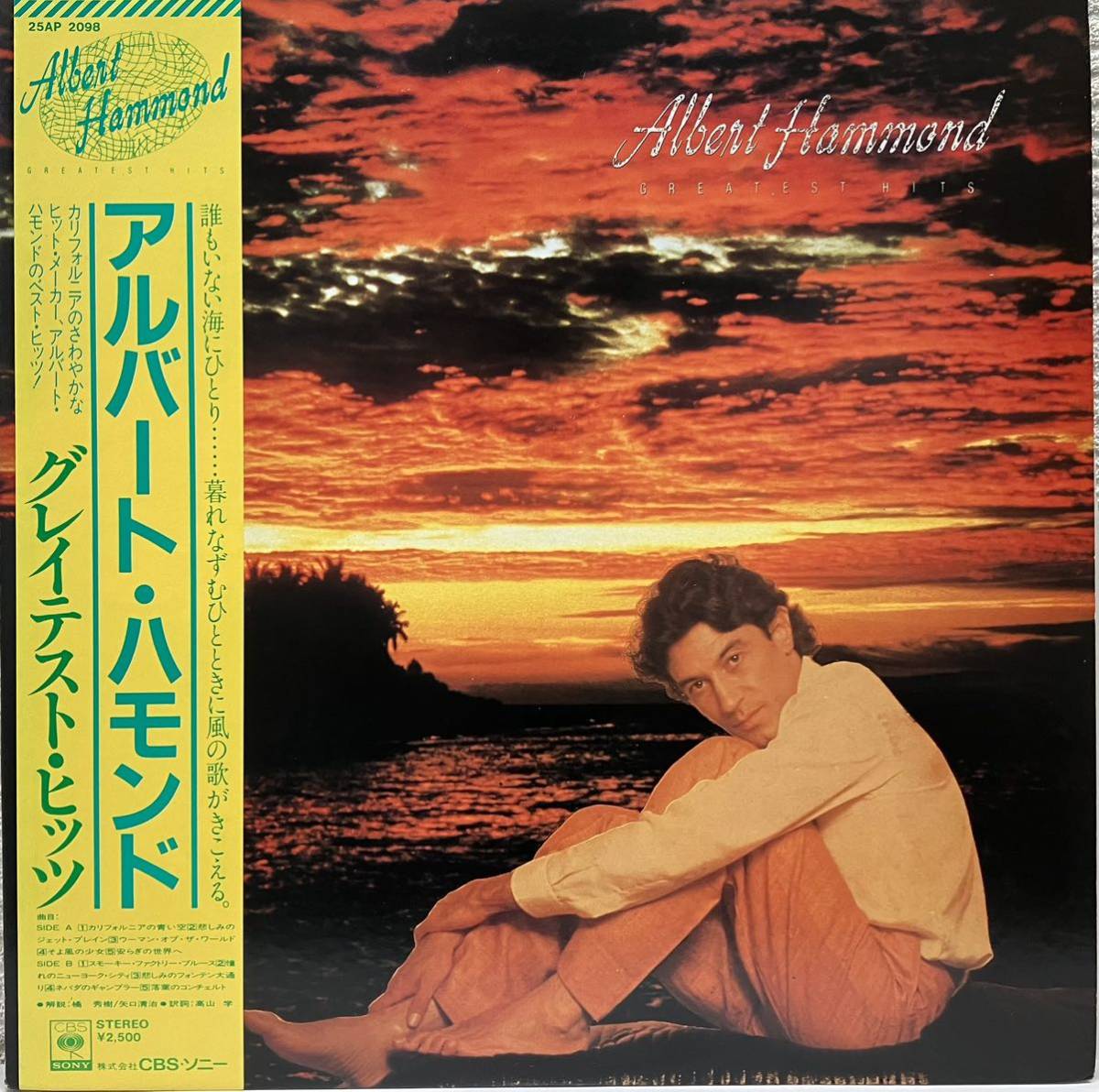 アルバートハモンド　グレイテスト ヒッツ　ALBERT HAMMOND. 帯付 LP 盤面良好 _画像1