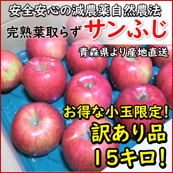 【お得な小玉限定訳あり品15キロ】生食用「青森のサンふじ」安心安全の減農薬●青森産完熟りんご！残留農薬検出なし！皮ごとでも安心！限定_画像1