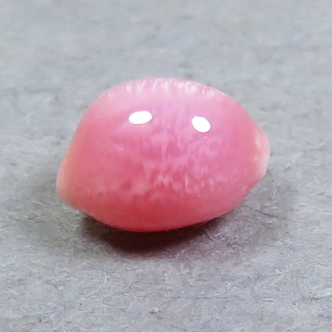 売れ筋商品 コンクパール(conch ルース(0.35ct) pearl) 真珠