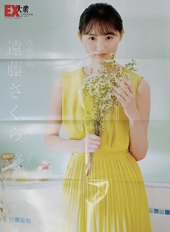 即決★ 遠藤さくら　乃木坂46　両面ポスター　EX大衆 付録　2022年　11月号　新品_画像1