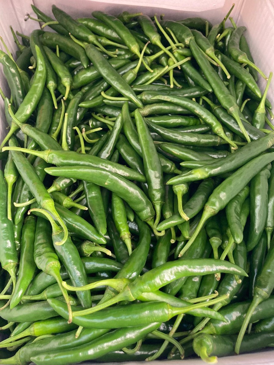  rare . domestic production fresh raw blue chili pepper .. ultra . box included 1Kg