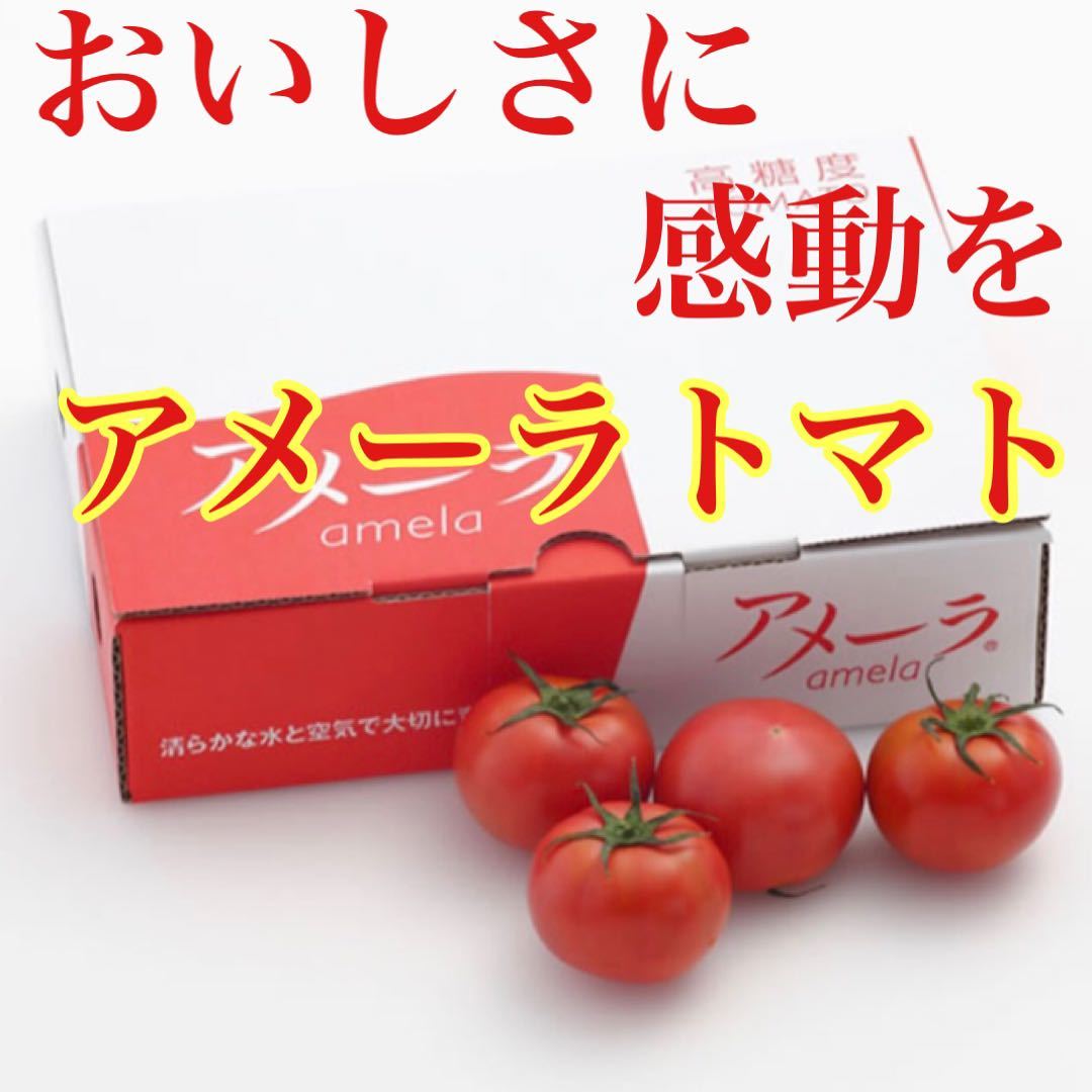 ギフトに最適 高糖度トマト アメーラ フルーツトマト 20玉から28玉入り_画像1
