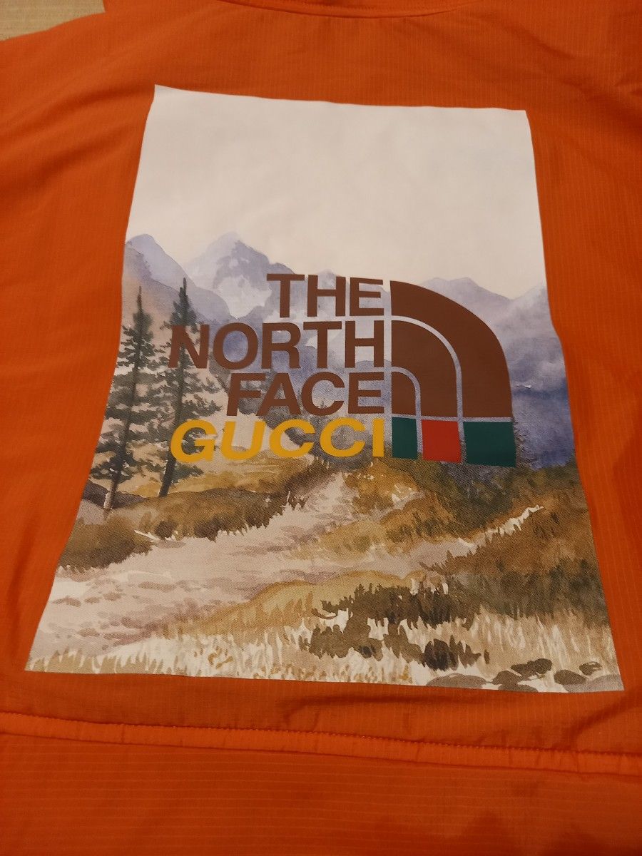 GUCCI × THE NORTH FACE コラボジャケット