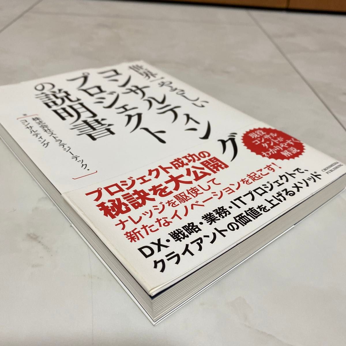 世界一やさしいコンサルティングプロジェクトの説明書 （世界一やさしい） ストラテジーテック・コンサルティング／著