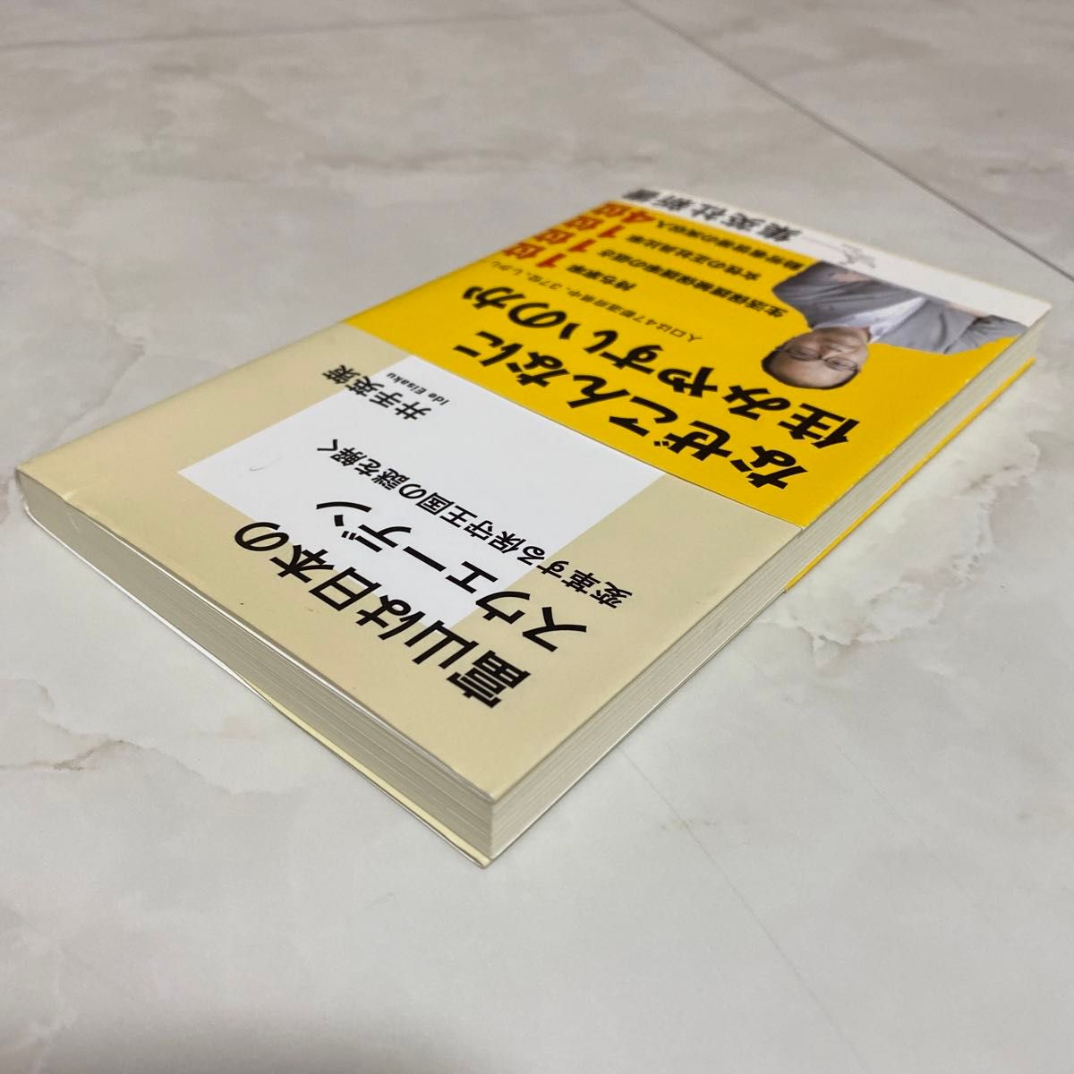 富山は日本のスウェーデン　変革する保守王国の謎を解く （集英社新書　０９４４） 井手英策／著