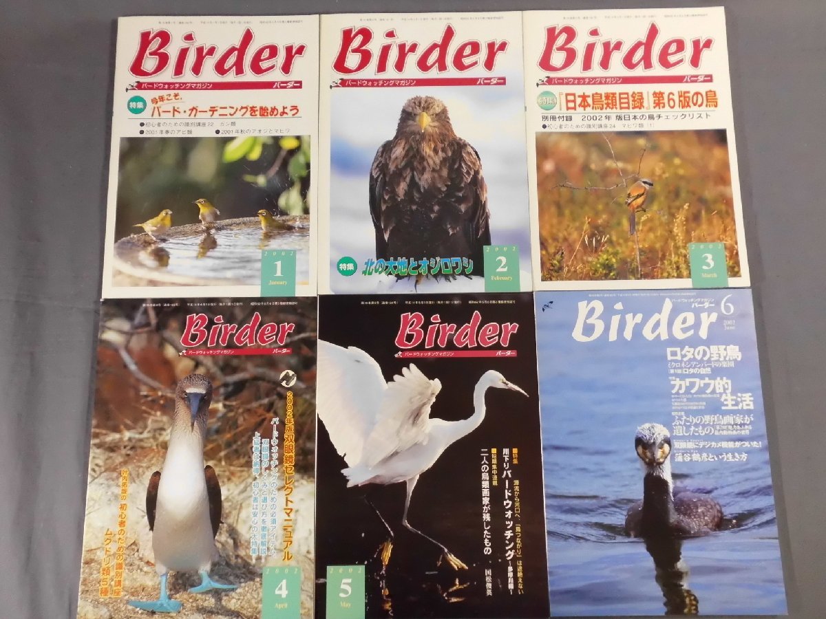 0F2D8　BIRDER/バーダー　2002年 揃い12冊セット　バードガーデニング/オジロワシ/双眼鏡セレクトマニュアル　文一総合出版_画像2