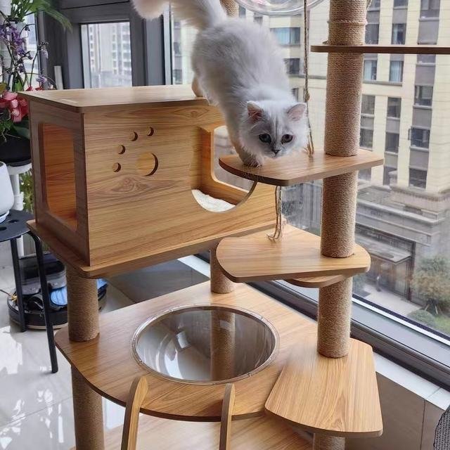  cat tower transparent space ship strong .. put wooden flax cord nail .. ball cat bed large many head .... put type nail .. cat tower nail sharpen height 135cm