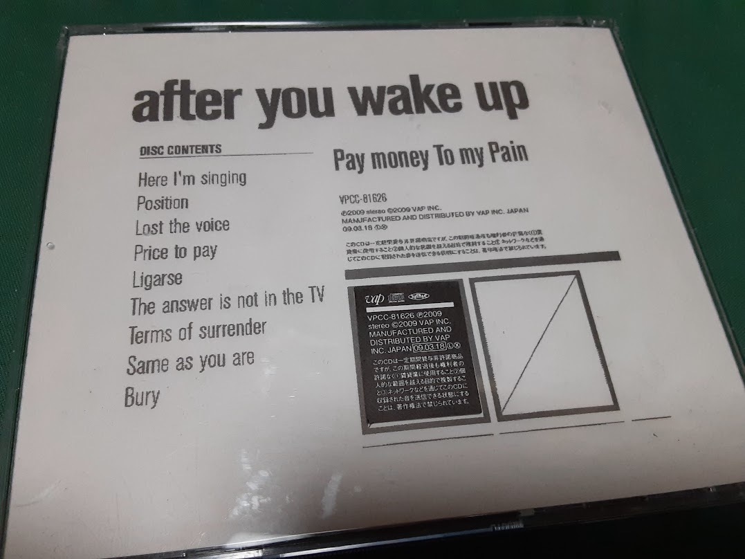 Pay money To my Pain◆『after you wake up』ユーズドCD_画像3