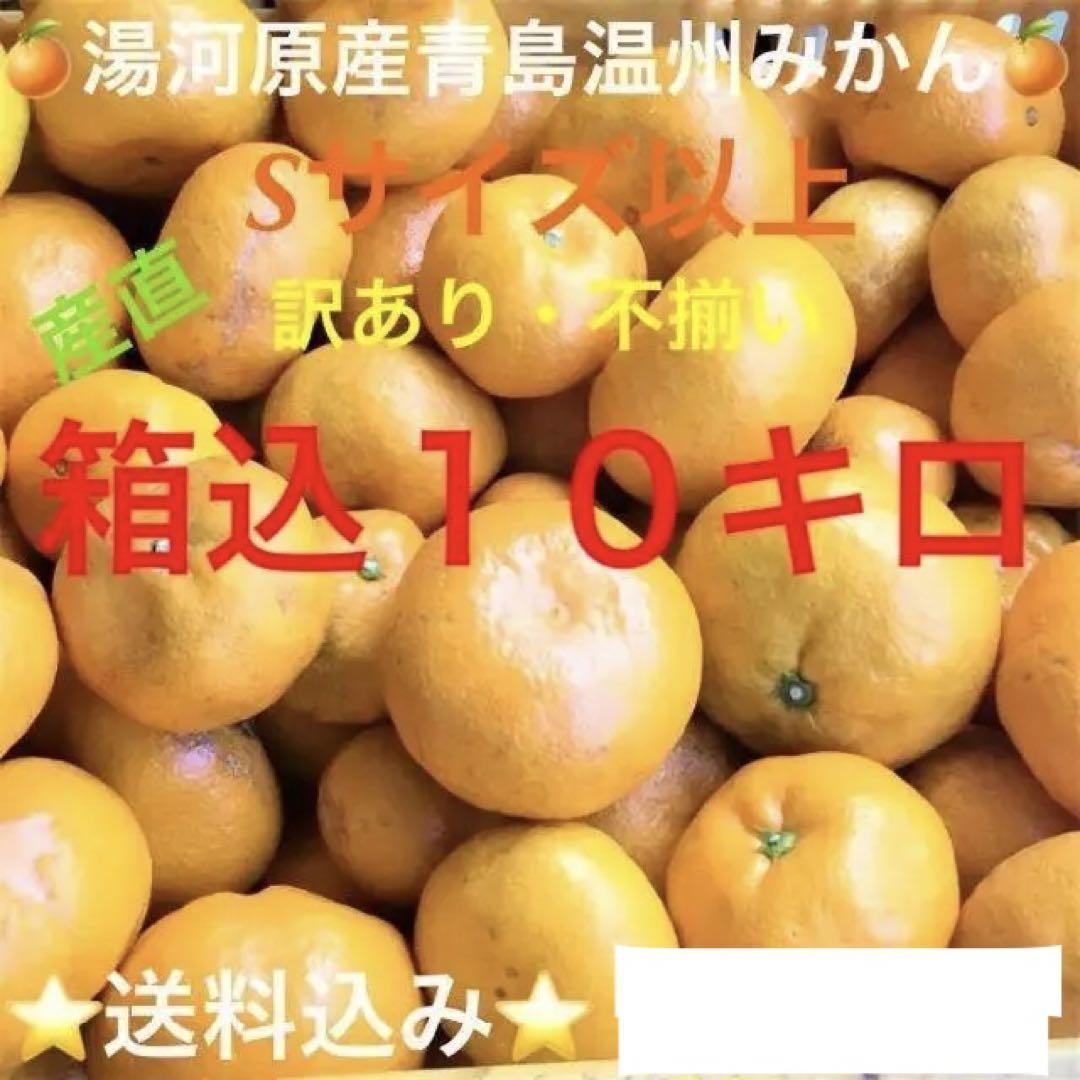 全国どこでも送料無料★訳あり★産直不揃い10kg神奈川県湯河原産晩生ミカン青島温州みかんA9_画像1