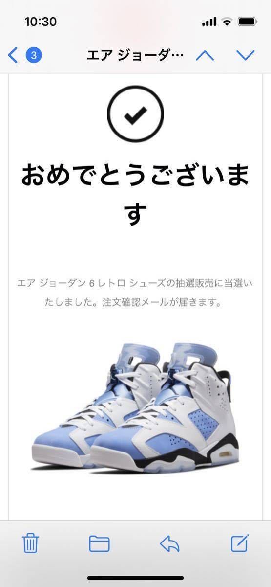 1円スタート 【新品未使用】NIKE AIR JORDAN 6 RETRO CT8529-410 27.5cm ナイキ エアジョーダン6 ユニバーシティブルー _画像7