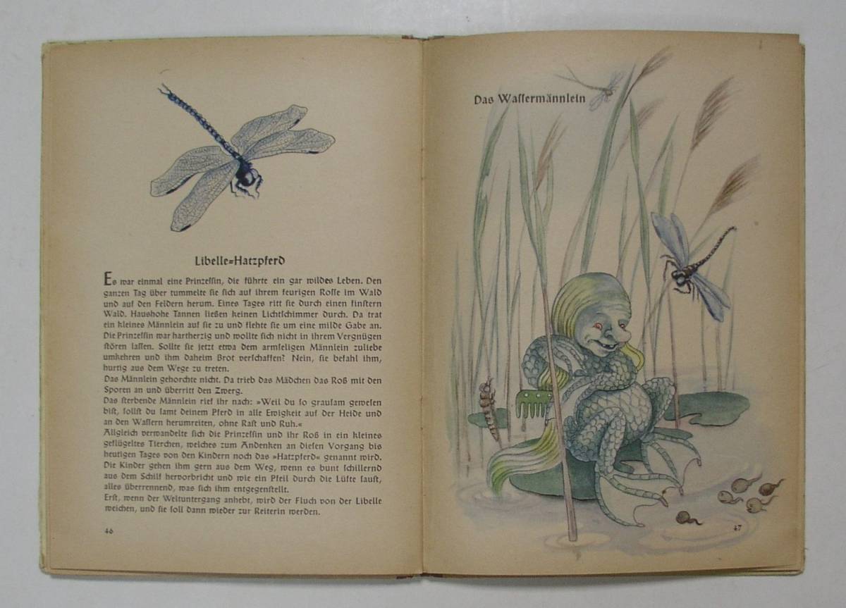 E.パルスォリー挿絵　「ローズマリーとタイム－自然の詩」　1943年 ドイツ語_画像5