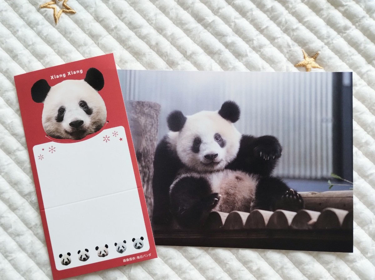 ③　920日シャンシャンポストカード+メッセージカード　上野動物園　ジャイアントパンダ xiangxiang