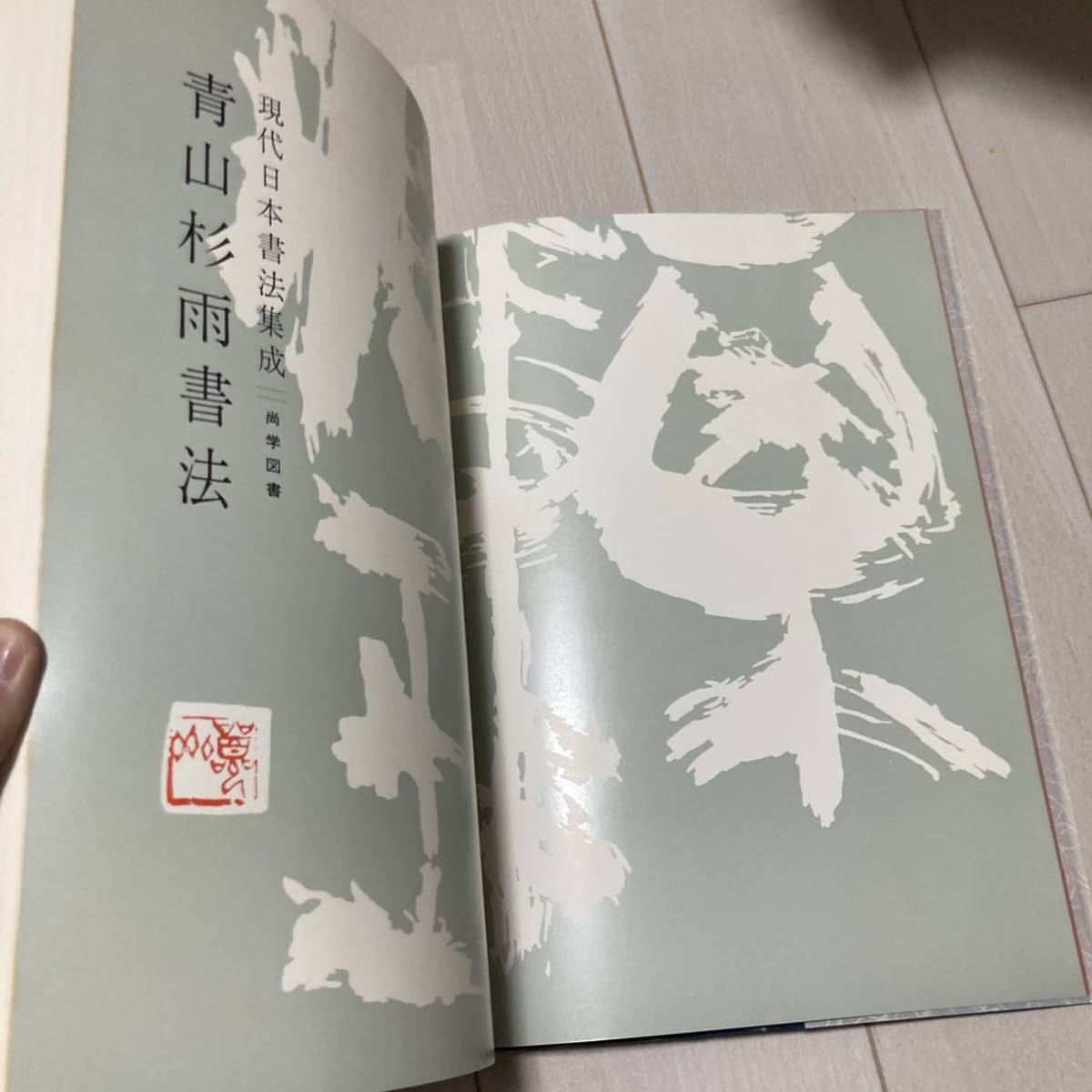 E 昭和51年発行 書道 和本 「演題日本書法集成 青山杉雨書法」_画像3