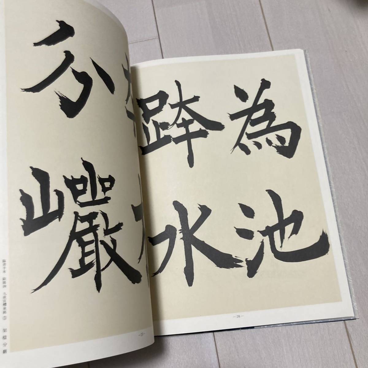 E 昭和51年発行 書道 和本 「演題日本書法集成 青山杉雨書法」_画像5