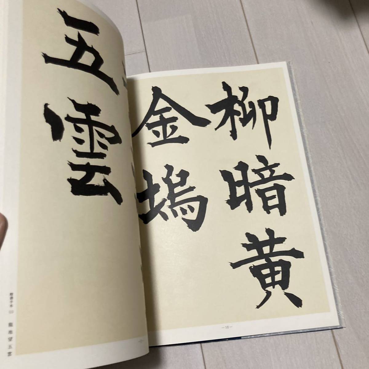 E 昭和51年発行 書道 和本 「演題日本書法集成 青山杉雨書法」_画像4