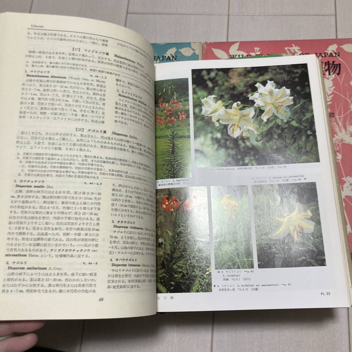 E 1982 year the first version issue [ japanese . raw plant all 3 pcs. .]