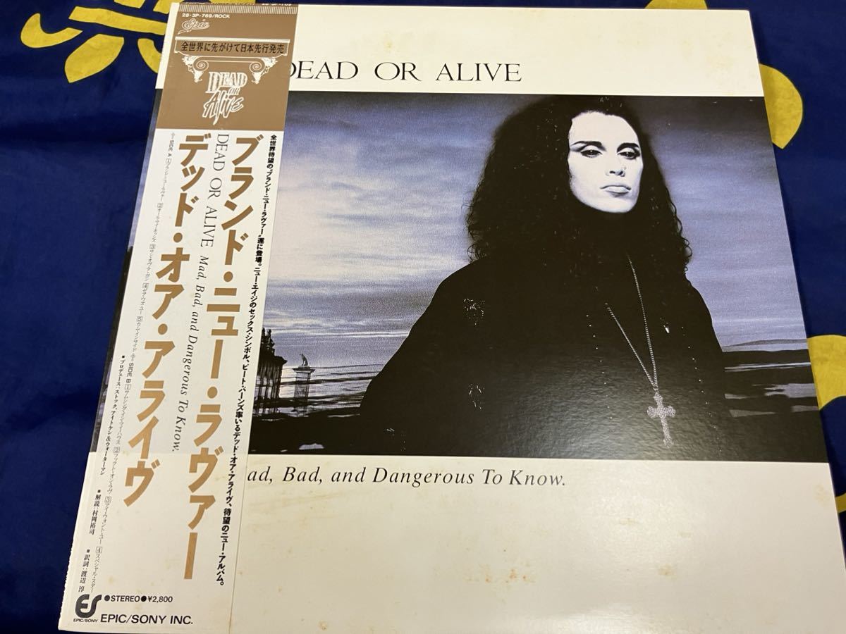 Dead Or Alive★中古LP国内盤帯付「デッド・オア・アライヴ～ブランド・ニュー・ラヴァー」_画像1