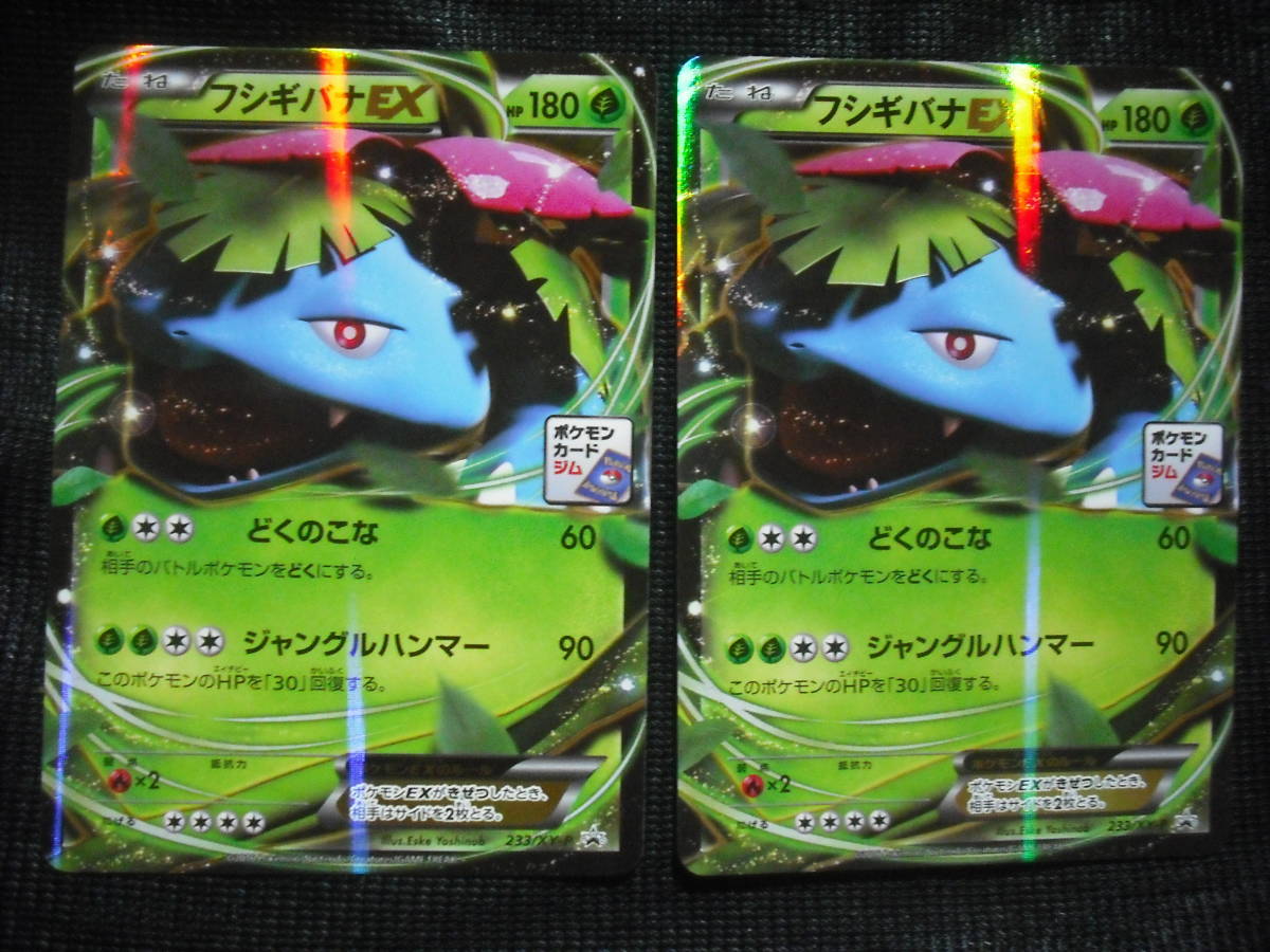 2枚セット フシギバナ EX 233/XY-P ジム プロモ ポケモンカード Venusaur Gym Promo Cards Set_画像1