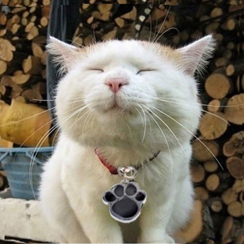 【ネコとネコ肉球 キーホルダー セット】猫雑貨 猫 かわいい ネコキーホルダー 猫好き 猫キーホルダー ねこ ねこ球 バッグチャーム_画像6