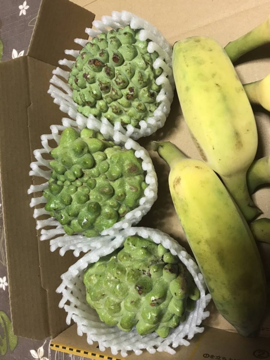 大人気！旬の絶品果実！沖縄産アテモヤ、アップルバナナ　１kgセット_画像5