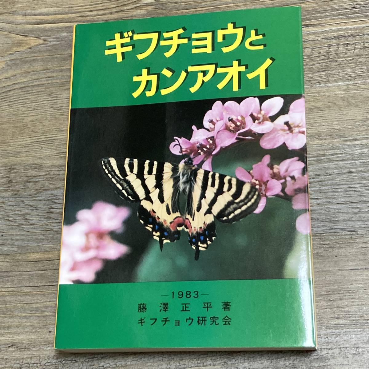 J-2646■ギフチョウとカンアオイ■藤澤正平/著■ギフチョウ研究会■1983年12月15日発行_画像1