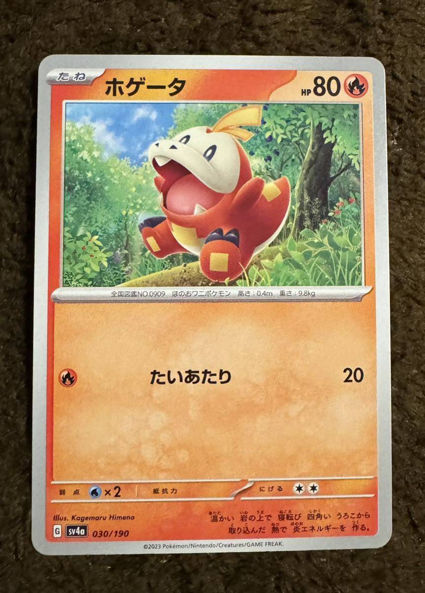 Yahoo!オークション - 【美品】ポケモンカード ホゲータ(sv4a Yahoo!オークション - 【美品】ポケモンカード ホゲータ(sv4a