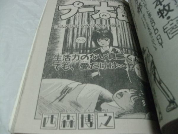 【　少年サンデー 1988年1月増刊号　『 読切・西森博之「プー太郎」　つなぶち貴仁「にんにくメモリー」　他 』　】_画像8