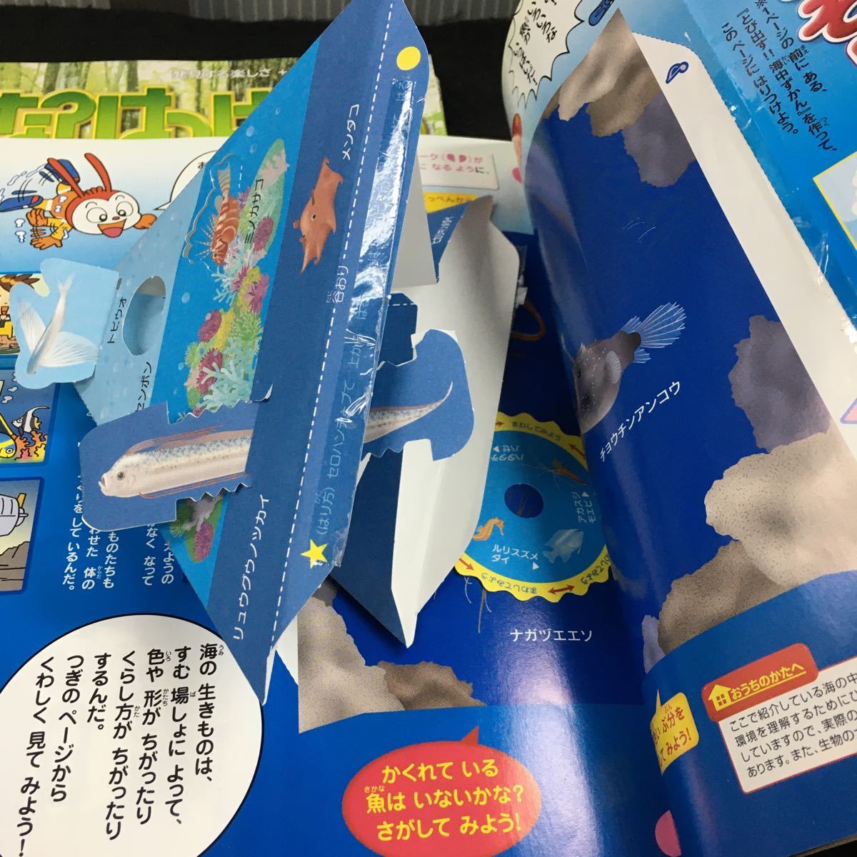 き-まとめ チャレンジ2年生 はてな？はっけん！ブック1月ごう、3~12月ごう/その他 全不揃い13冊セット 発行 ※1_画像7