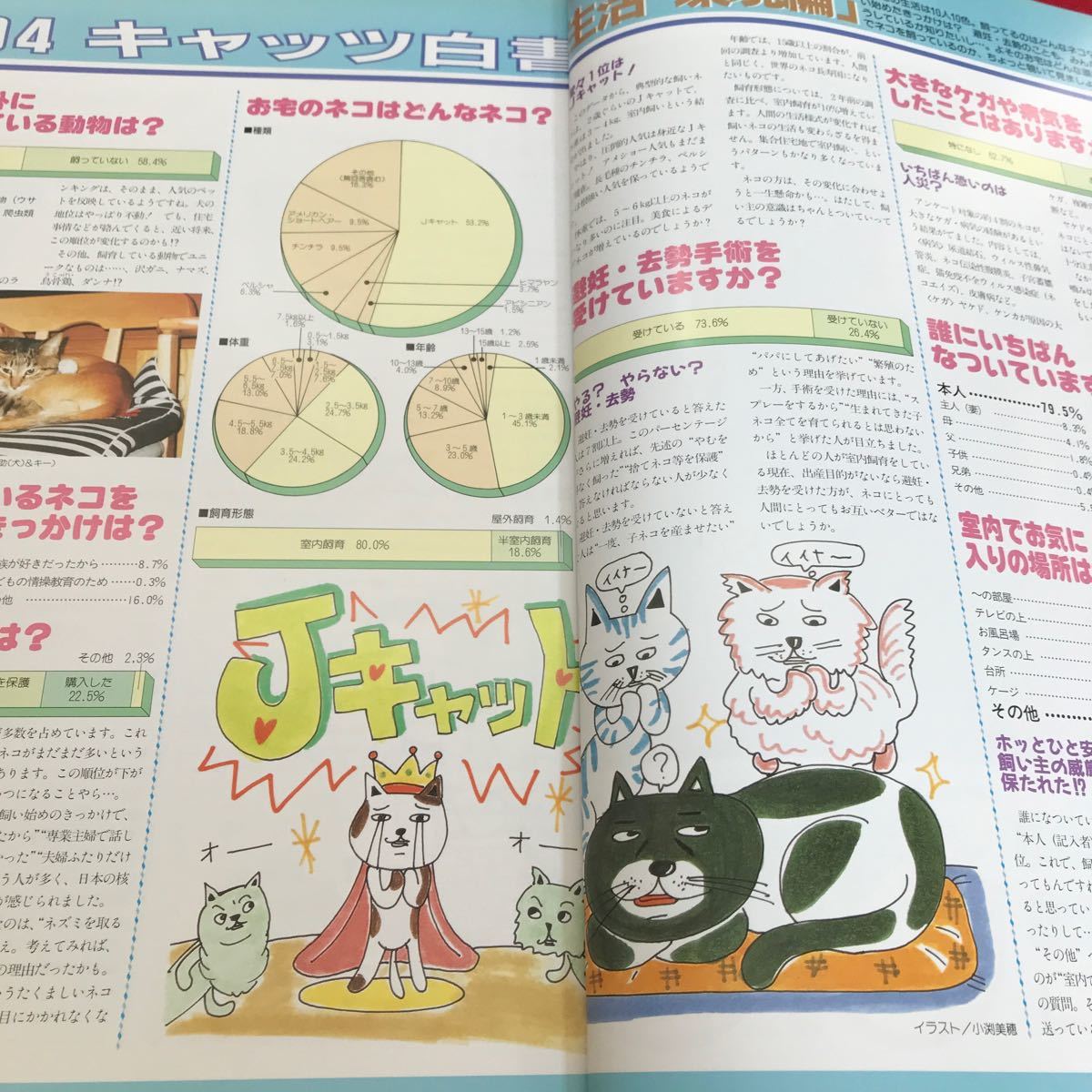 c-021 月刊キャッツ1994年6月号　特集　'94ネコ生活世論調査　カタログ/ノミ対策グッズ　ペットライフ社※1_画像3