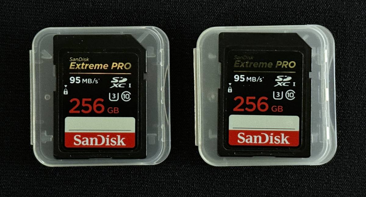 良品 SanDisk サンディスク 256GB 95MB/s SDXC-I Class10 U3 SDカード 2枚セット_画像1