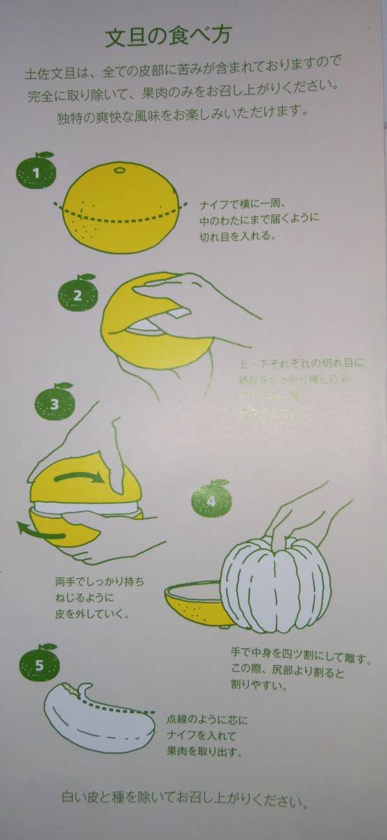 １円～スタート【高知県産】高知ブランド　土佐文旦　M サイズ　約10ｋｇ_画像3