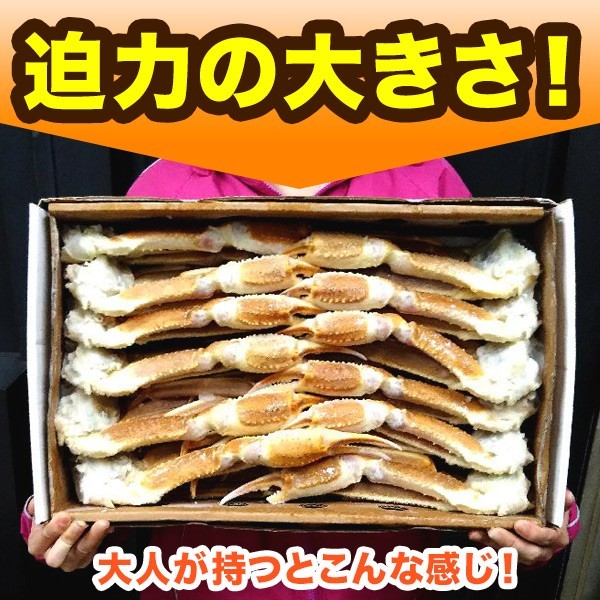 【送料無料！年末年始対応】2023年新物 合計１０ｋｇ 船上凍結産地箱 ５L 生ズワイガニ５kg×２箱【かに カニ 蟹】n_これが５ｋ１箱分