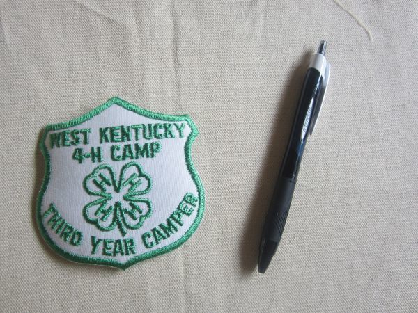 WEST KENTUCKY 4 H CAMP ウェスタンケンタッキー キャンプ 3年目 キャンパー ワッペン/ビンテージ パッチ USA 古着 アメカジ Z01_画像5