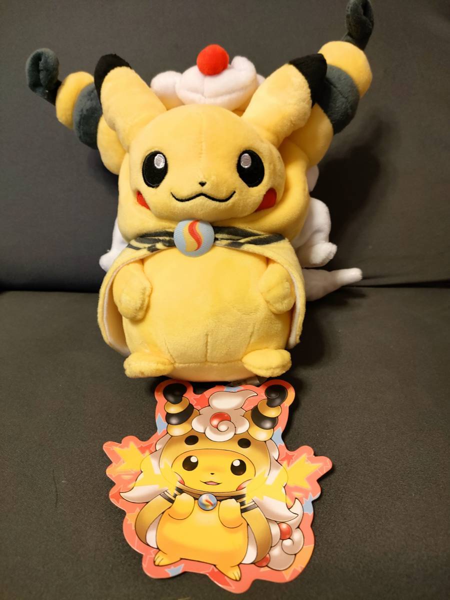 【タグ付き美品】ぬいぐるみ　メガデンリュウのポンチョを着たピカチュウ　ポケモン PokemonCenter限定 ポケモンセンターオリジナル_画像4