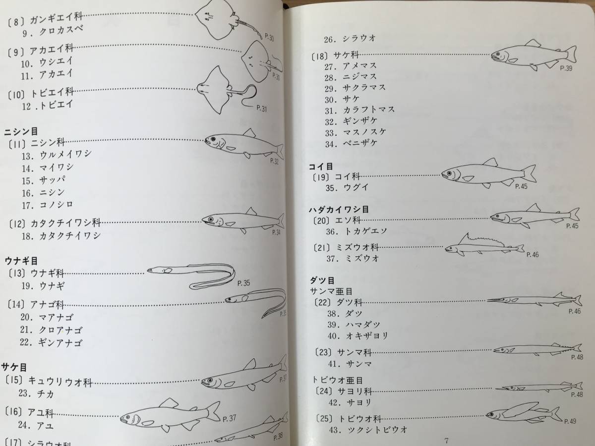 B52●魚類図鑑 南三陸の沿岸魚 酒井敬一 1986年 宮城県志津川湾 解説 地方名 漁業 釣り 磯 深海 市場 料理 ※外函欠品 231206_画像5