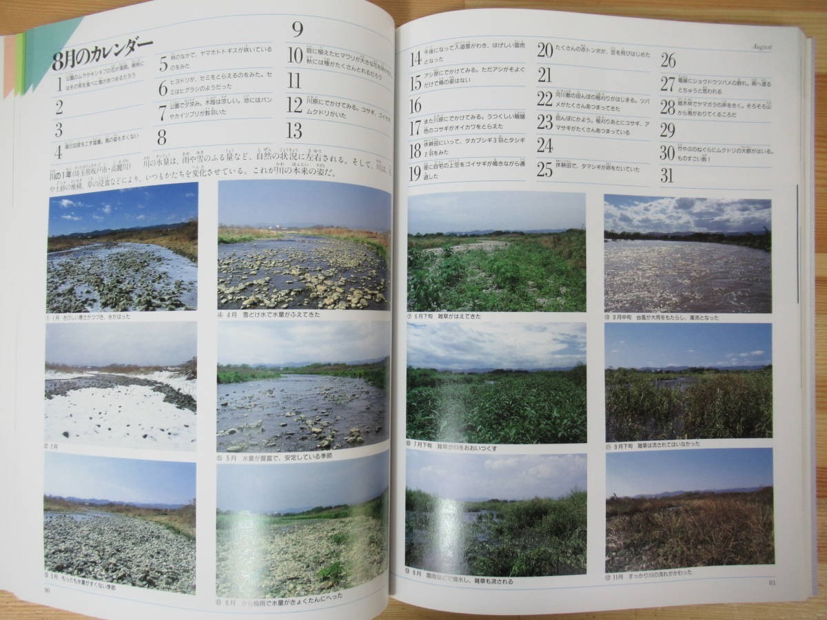 n22●野鳥記 平野伸明 DAYS OF WILD BIRDS 福音館書店 2008年 1200枚の写真で見る野鳥 生物多様性 生態系 図鑑 夏休みの自由研究に 230420_画像6