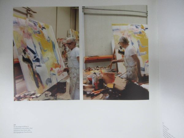 U87☆ 【 洋書 】 A Way of Living The Art of Willem de Kooning デ・クーニング ジュディス・ツィルツェル 女シリーズ 231102_画像9