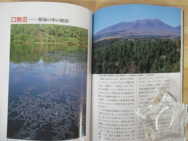 r53● 北海道の花・自然関連本 まとめて計7冊セット ニセコ 支笏・樽前 雨竜沼・暑寒別岳 大雪山 アポイ岳・えりも岬 大沼・駒ヶ岳 211014_画像9