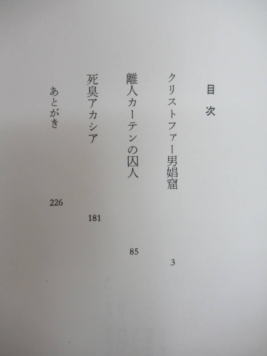 P15☆ 【 初版 帯付き 野生時代新人文学賞受賞作 】 クリストファー男娼館 草間彌生 角川書店 ルイ・ヴィトン ニューヨーク物語 230823_画像5