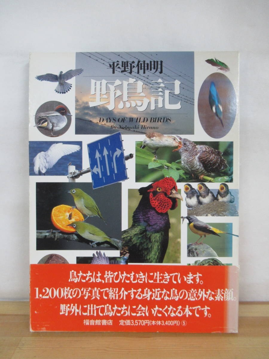 n22●野鳥記 平野伸明 DAYS OF WILD BIRDS 福音館書店 2008年 1200枚の写真で見る野鳥 生物多様性 生態系 図鑑 夏休みの自由研究に 230420_画像1