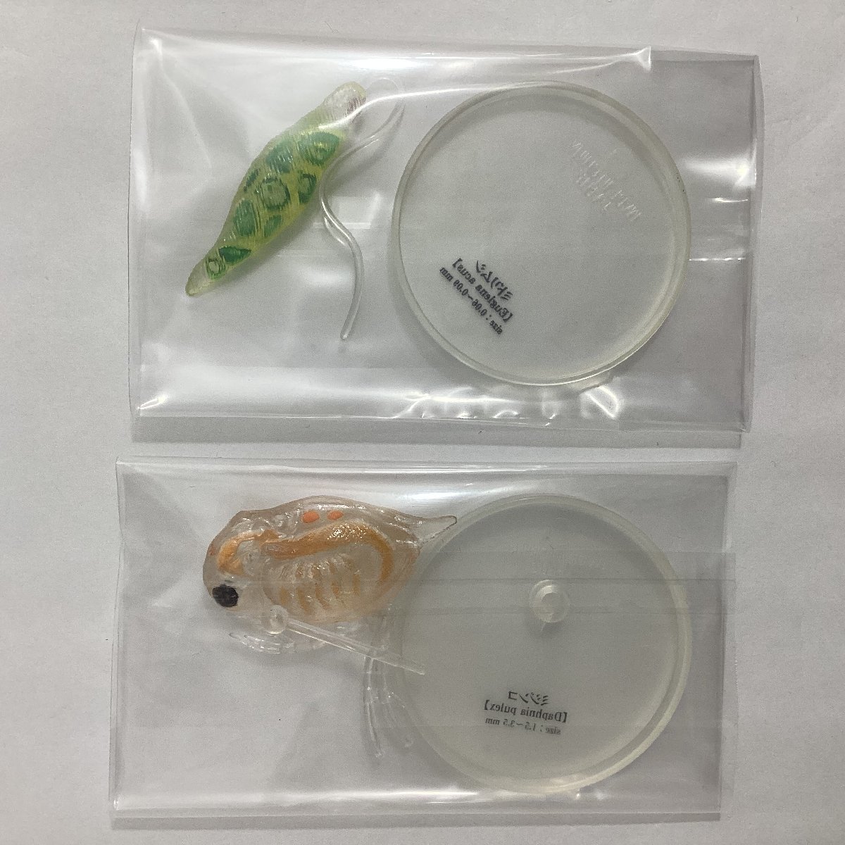 タカラトミーアーツ　不思議生物大百科　極小の共存者 微生物　全6種 セット　シークレット含　クマムシ ミドリムシ ゾウリムシ ミジンコ_画像8