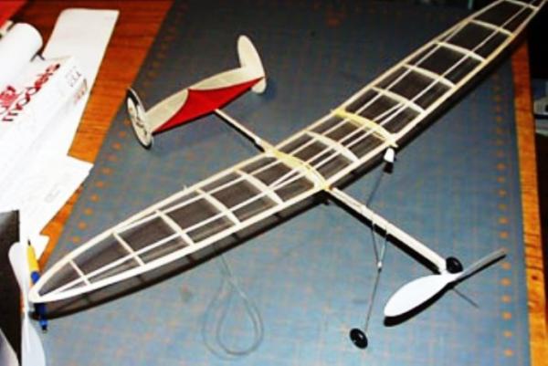 [ light plain ]Easy Built made Ritz(L/C specification )( wing length :30~=762mm)*** remainder 1