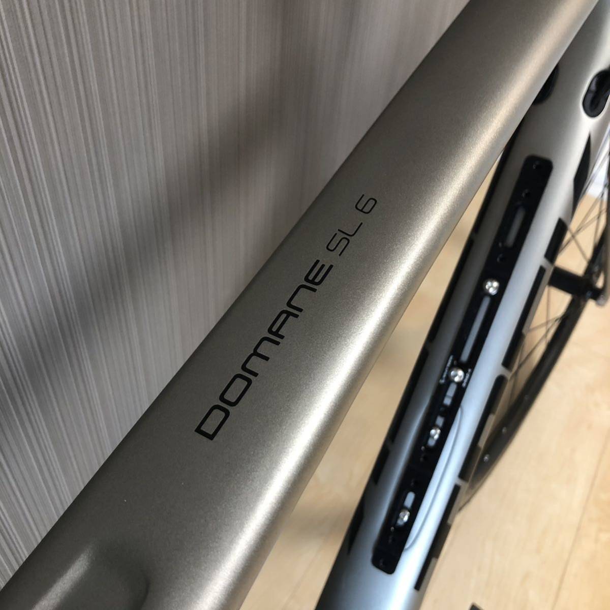 TREK DOMANE SL6(56cm) + おまけ_ダウンチューブにおまけあり