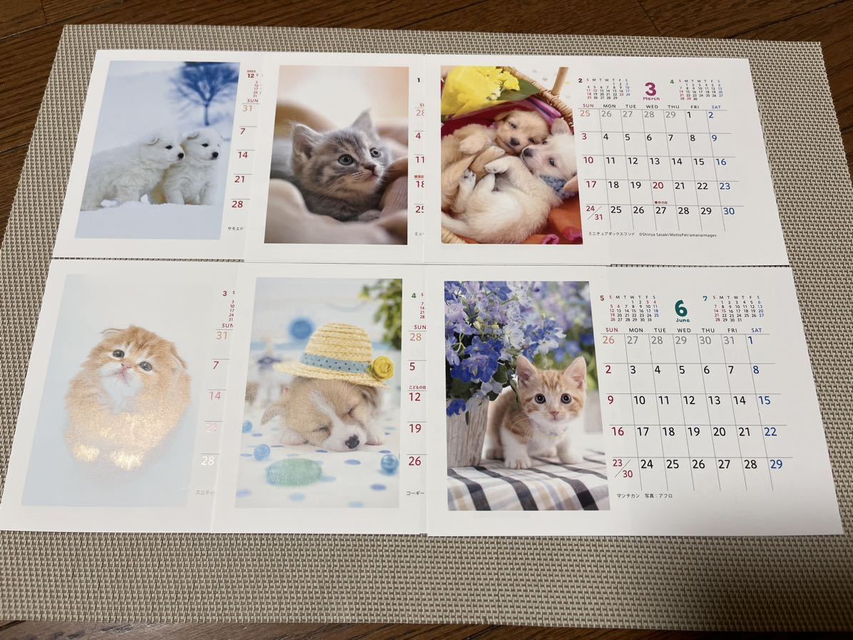 住友生命 2024年 卓上カレンダー かわいい子いぬ 子ねこ DOG&CAT 壁掛け兼用_画像2